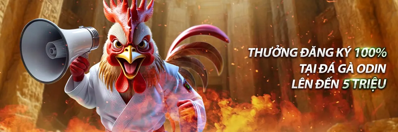 Hai võ sĩ đang đối đầu trong sàn đấu quyền anh, thể hiện sự đa dạng của các môn thể thao khác như Boxing, MMA tại rikvip.win đăng nhập.