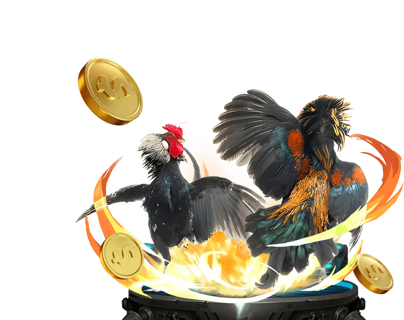 Khuyến mãi nạp tiền rikvip.win