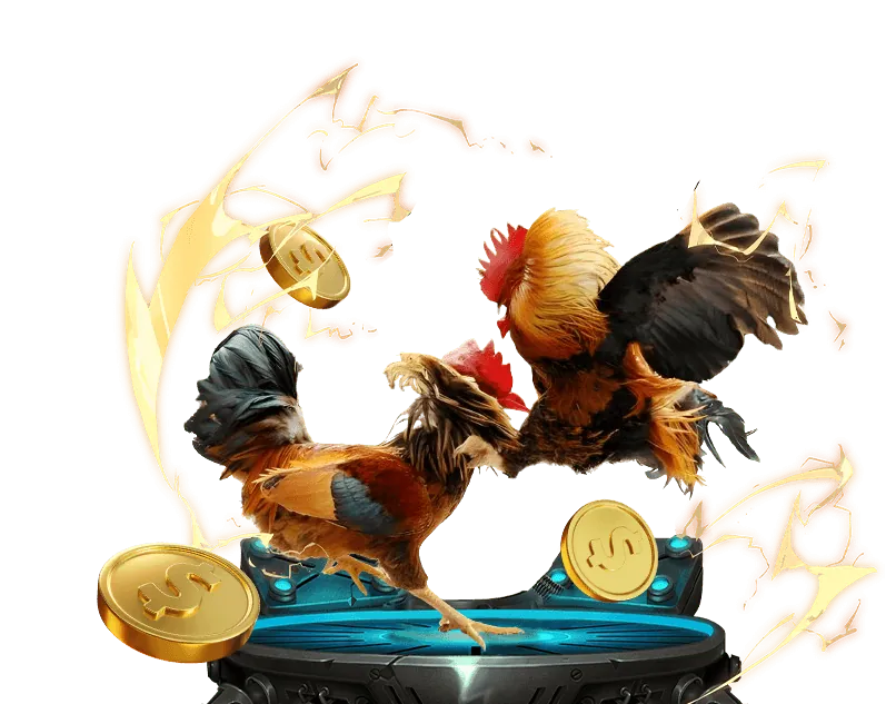 Ưu đãi độc quyền dành cho người dùng ứng dụng rikvip.win